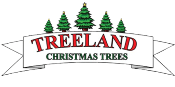 Treeland Christmas Trees in Fort Collins, Colorado